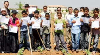 Şanlıurfa'da Öğrenciler Karnelerini Tarlada Aldı