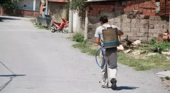 Torbalı Özbey'de Pire İstilası