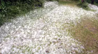 Elazığ'daki Dolu Yağışı