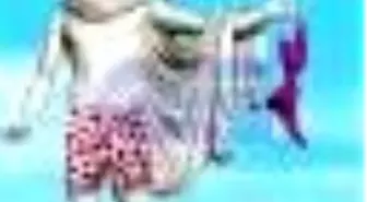 Filozoflardan Seksi Şeyler Kitabı