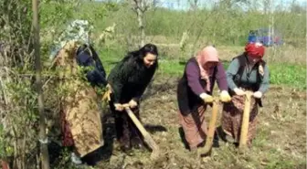 156 Kadın Kursiyer Belge Aldı