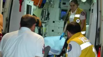 AK Parti Milletvekili Ulema'nın Oğlu ve Yeğeni Yaralandı