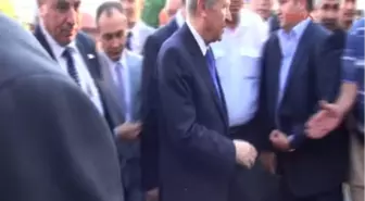 Devlet Bahçeli Nikah Şahitliği Yaptı