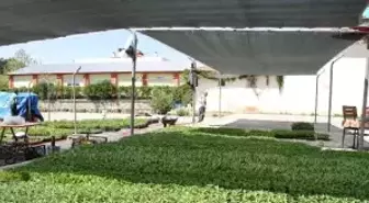 Erzincan 'Marka Şehir' Yolunda Hızla İlerliyor