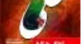 Ali B. Ebi Talib Divanı Kitabı