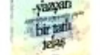 Bir Tatlı Telaş Kitabı