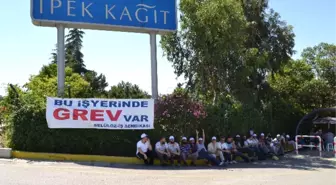 İpek Kağıt İşçileri Grevde