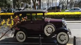 Istanbul Concours D'elegance Başlıyor