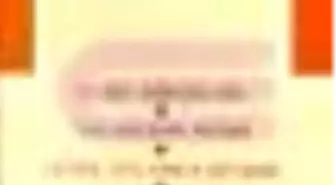 Toplu Oyunları 4 Elma Hırsızları, Yalancının Resmi, Genel Anlamda Öpüşme, Çin Kelebeği Kitabı