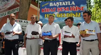 Başyayla Kiraz Festivali