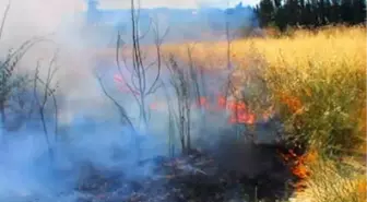 Diyabakır'da Tarım Arazisinde Yangın