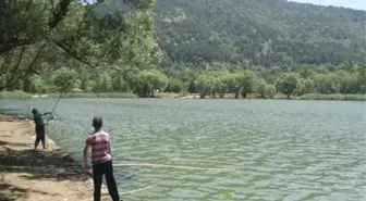 Gölcük'te Yayla Sezonunu Açılıyor