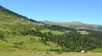 Sisdağı Erkeksu Otçu Göçü Şenliği 29 Haziran'da