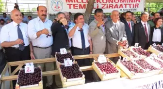 Yeşilyurt'un En İyi Kirazları ve Bahçeleri Belirlendi