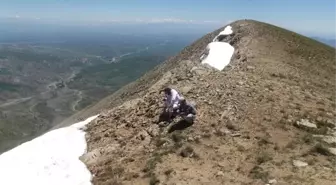 Eleşkirt'te Maceracı Eğitimcilerin Kösedağ Tırmanışı