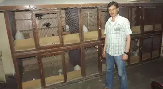 Eskişehir'de 3 Bin Kişi Güvercin Bakıyor