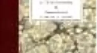 İstanbul Kadı Sicilleri (31) Eyüb Mahkemesi 90 Numaralı Sicil (H. 1090-1091/ M. 1679-1680) Kitabı