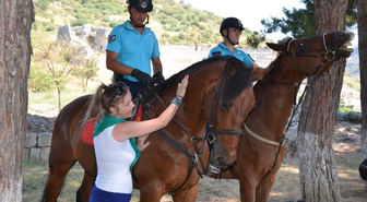 Efes'e Atlı Jandarma