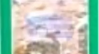 Mini Masallar - Külkedisi - Grimm Masalları Kitabı