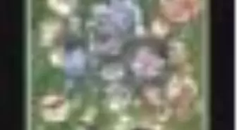 Seçme Öyküler Kitabı