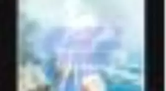 Yalnız Efe (Yetişkin) Kitabı