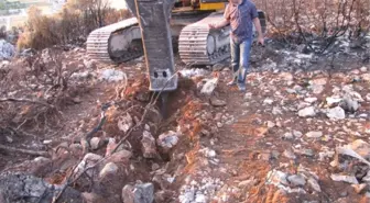 Yanan Sahalar Fidan Dikimine Hazır Hale Geliyor