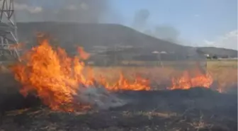 Kahramanmaraş'ta Tarla Yangını