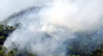 Kazdağları'nda Örtü Yangını