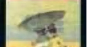 Uğultulu Tepeler Kitabı