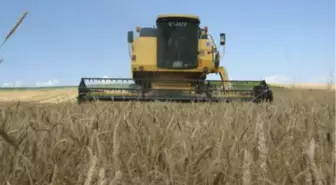 Gümüşhacıköy'de Biçerdöver Kontrolleri Başladı