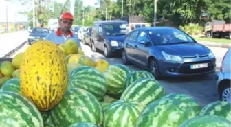 Karpuz ve Kavun Fiyatı Üreticiyi Güldürdü