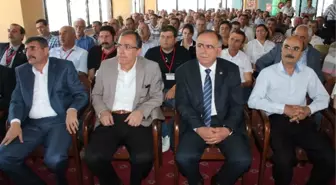 Tarım-İş Sendikası'nda Seçim Heyecanı