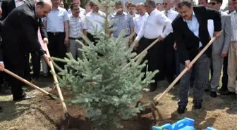 Veysel Eroğlu Abant Gölü'ne Alabalık Bıraktı