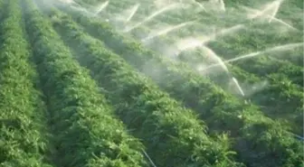 Çarşamba'da İyi Tarım Uygulamaları