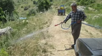 Karaman'da Çekirgelere Karşı İlaçlı Mücadele