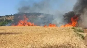 Yalıhüyük'te 15 Dekar Buğday Ekili Alan Yandı