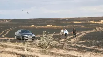 Yozgat'ta 3 Bin Dekar Ekili Alan Yandı