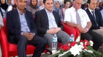 Araban'da Segi Açılışı