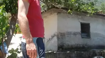 İki Aşçı Trafik Kazasında Öldü