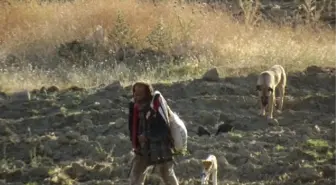 Sarısülük'ün Babası Yardım Teklifini Kabul Etmedi