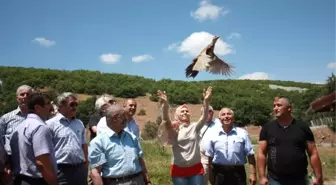 Hattuşa'nın Yeni Süsleri Sülün Kuşları