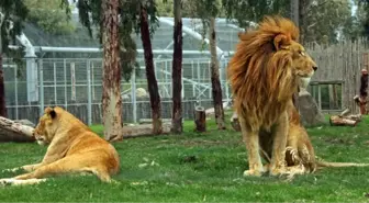 İzmir Doğal Yaşam Parkı'na Ödül