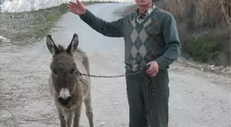 Köylerde At ve Eşek Sayısı Azaldı