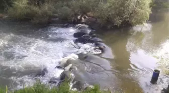 Hoşap Çayı Islahı İhalesi Yapıldı
