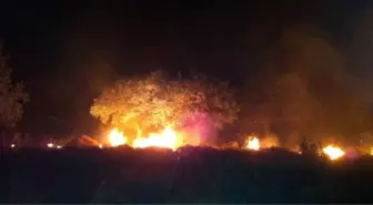 İzmir'deki Orman Yangını