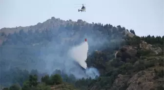 Petkim Yarımadası'ndaki Yangın Söndürüldü