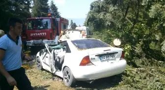 Kesilen Ağaç Otomobilin Üzerine Devrildi: 1 Ölü