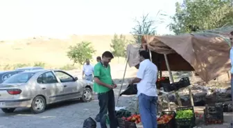 Karakol Köylülerin Sebze Tezgahı Oldu