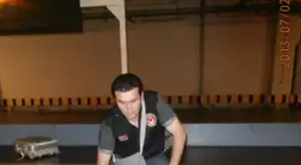 Esenboğa' da 8.640 gr. Marihuana Ele Geçirildi