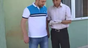 Iğdır'da Yaralı Serçe Yavrusu Tedavi Altına Alındı